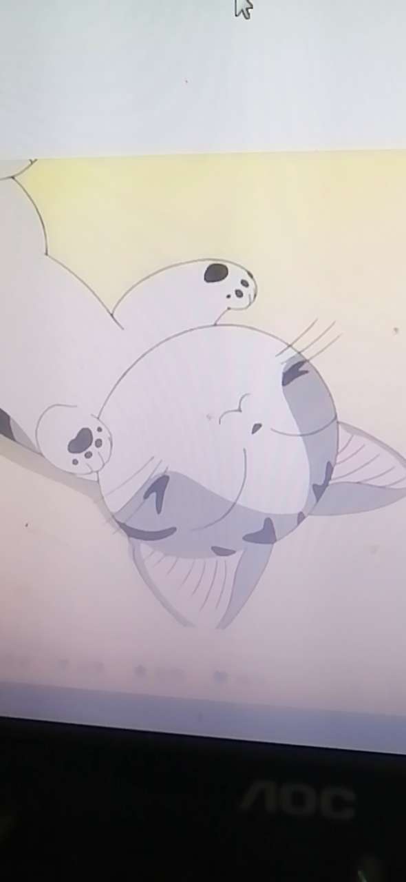 帮人代账