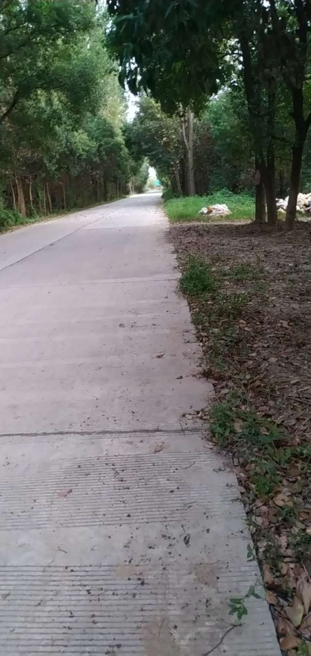 明天