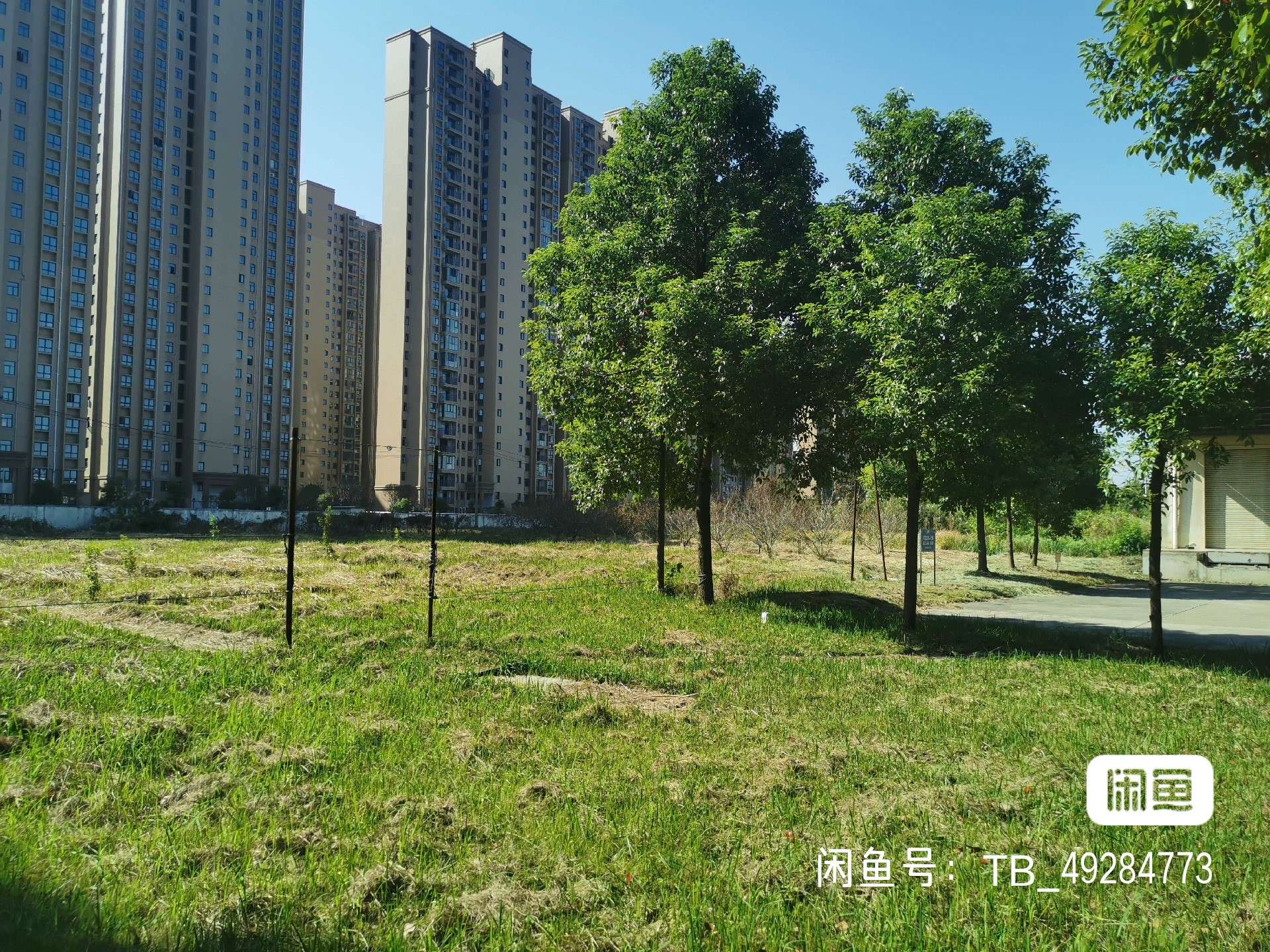 湖北仙桃干河北路有多栋钢构和框架厂房高台库平台库空地宿舍出租